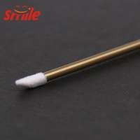 Colorful Hollow And Solid Pole Customized Disposable Lip Brush