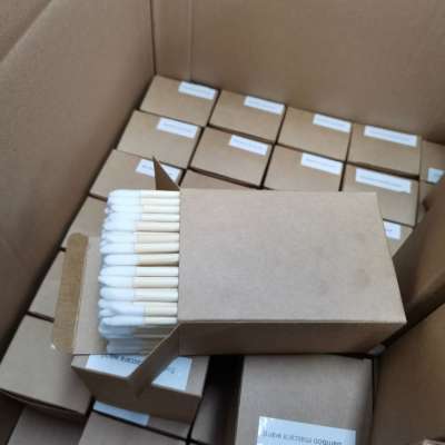 Eco Friendly Disposable Lip Gloss Applicator Makeup Brush With Bamboo Handle 200pcs per box